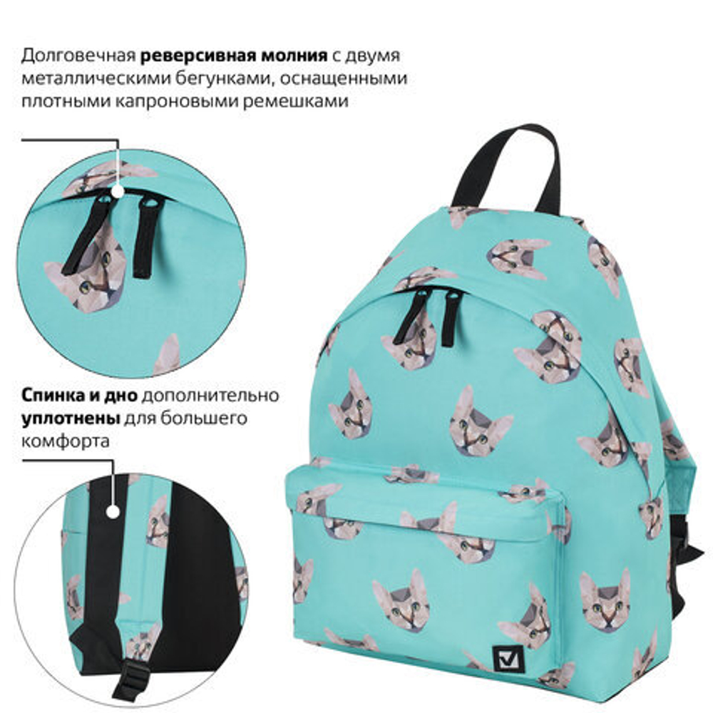 Рюкзак BRAUBERG универсальный, сити-формат, Cats, 20 литров, 41х32х14 см