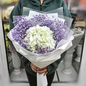 Гортензия с гипсофилой