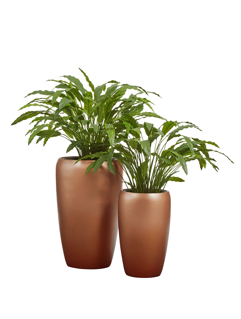 Композиция с калатеями в кашпо Treez Effectory Metal