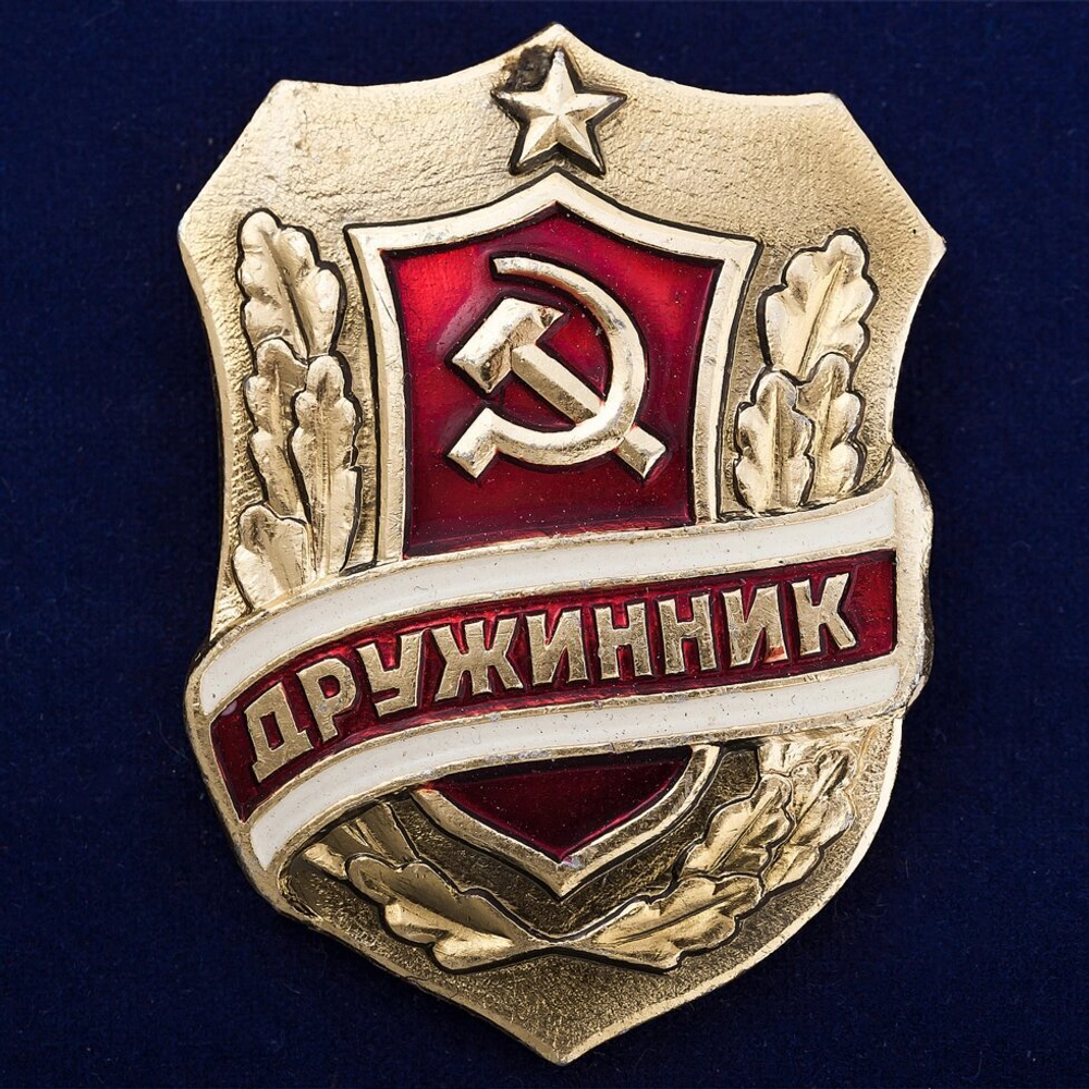 Знак "Дружинник"