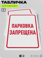Табличка для парковки "Парковка запрещена", для дома, офиса, организаций, 40х30 см, Silver Plane x Айдентика Технолоджи