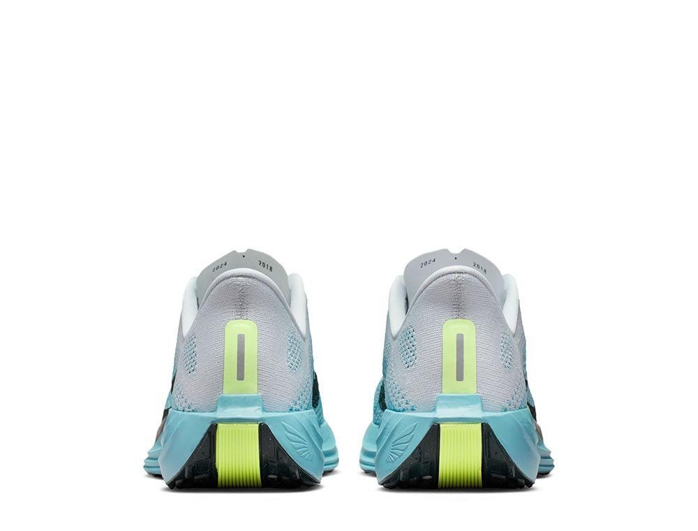 Кроссовки для бега мужские Nike Pegasus Plus M Бело-Blue