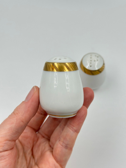 Набор из солонки и перечницы Rosenthal