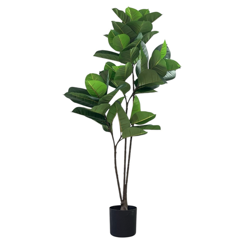 Фикус эластика зеленый 130 см.