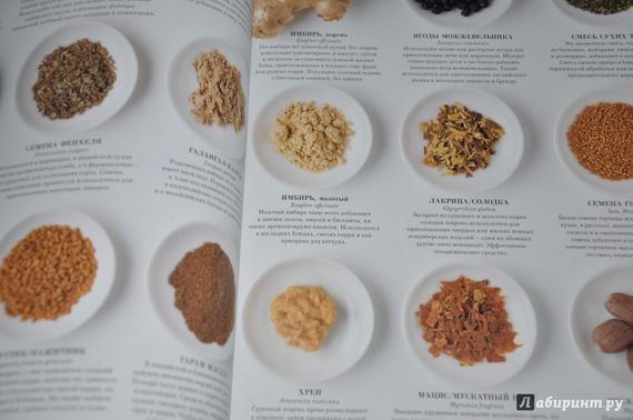 Элементы питания. Визуальная энциклопедия