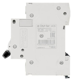 Автоматический выключатель  Systeme Electric C9F34450