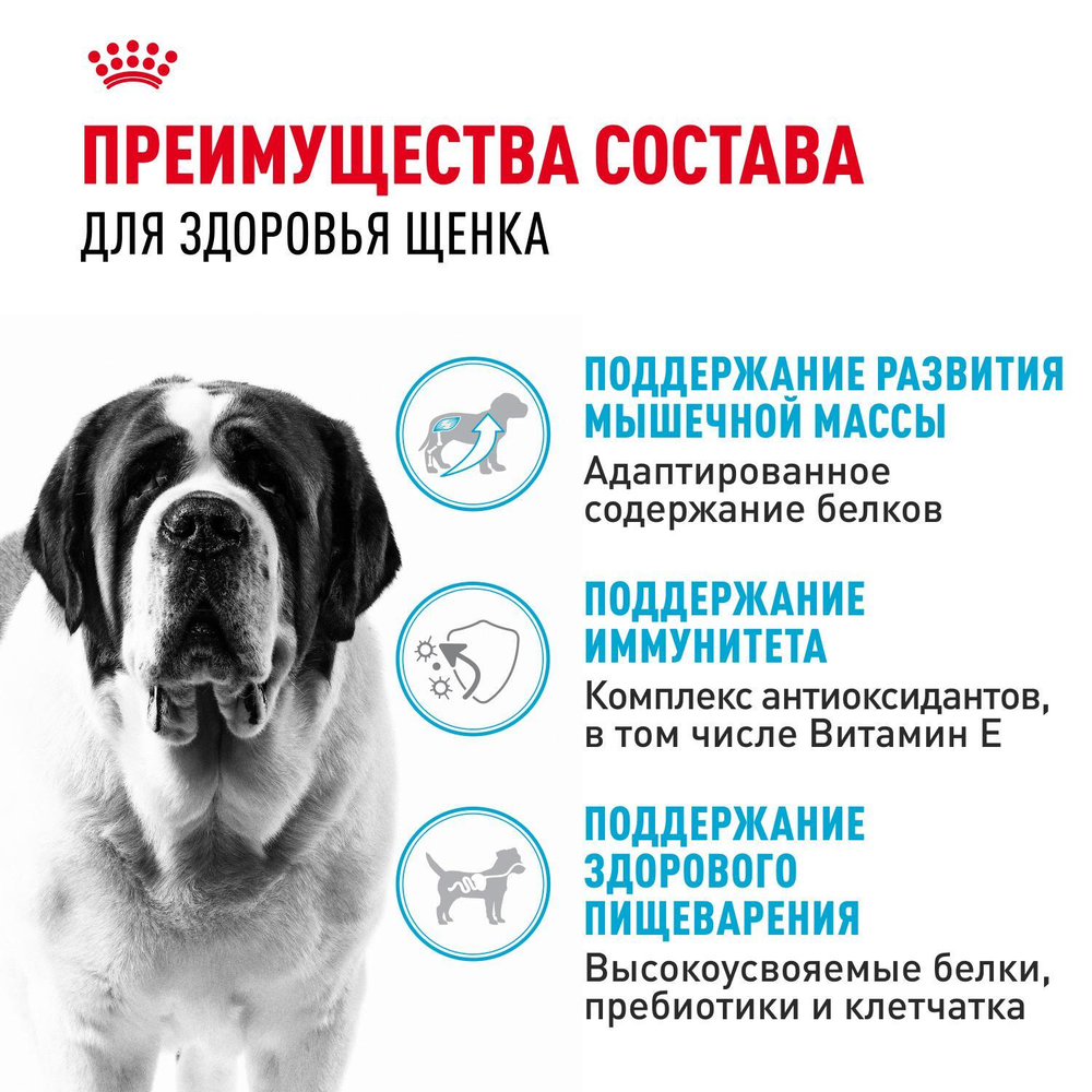 Royal Canin Giant Junior Корм сухой для щенков очень крупных пород возраст от 8 до 18/24 месяцев 15 кг