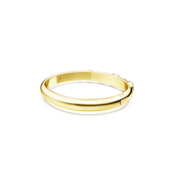 DEXTERA:BANGLE CRYSTAL WHI/GOS S