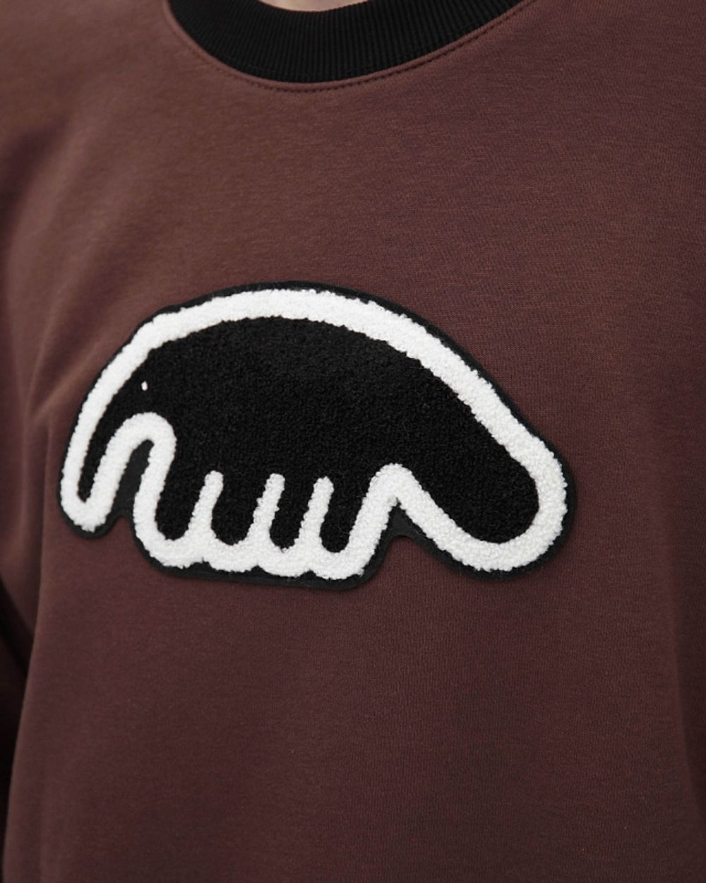 Толстовка Anteater Crewneck Biglogo Brown