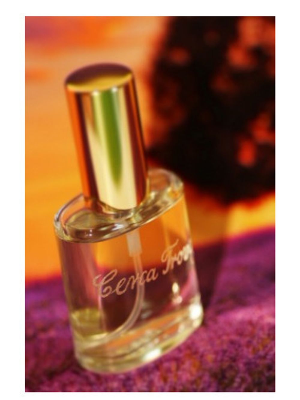 Francesco Vitelli Perfumes Cerca Trova