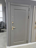 Дверь входная Афина