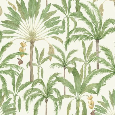 Тропические пальмы