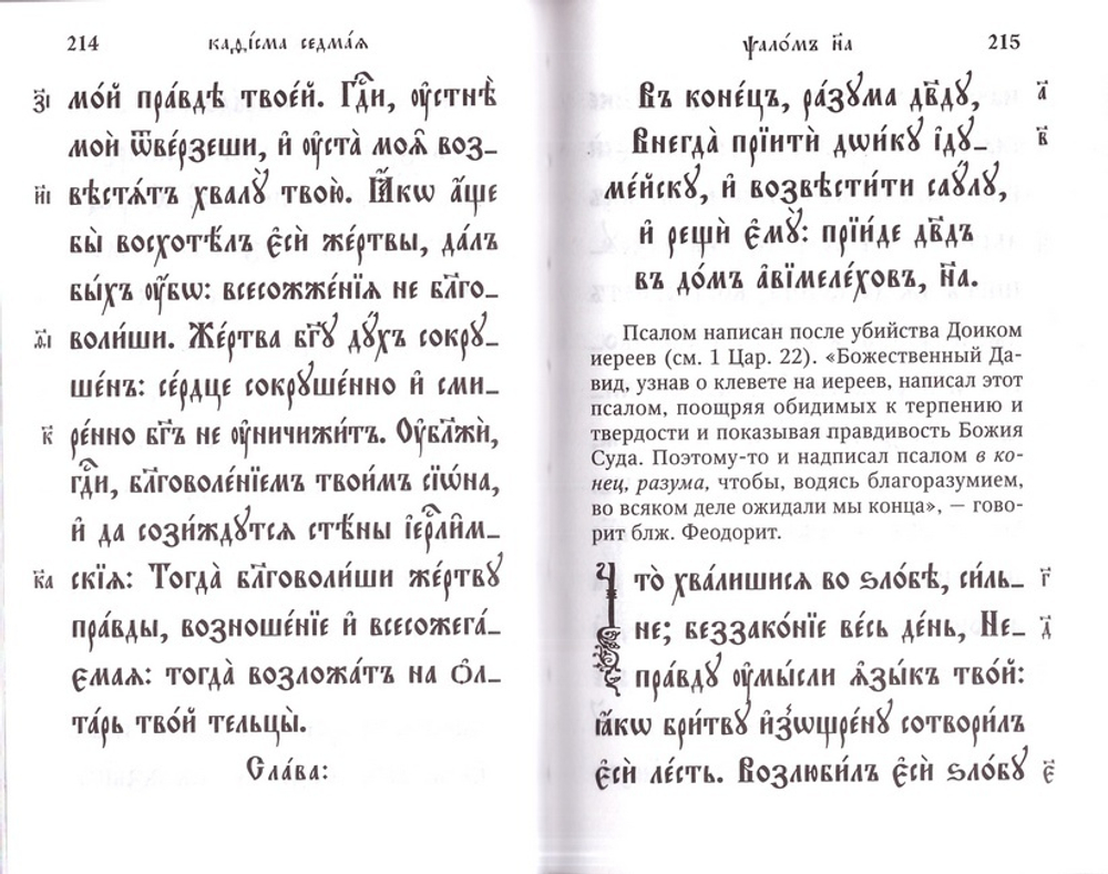 Псалтирь с толкованием на ц/с языке