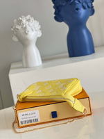 Louis Vuitton Mini Pochette Accessoires