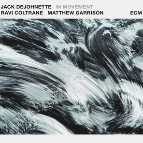 Jack DeJohnette, Ravi Coltrane, Matthew Garrison / In Movement (2LP)
