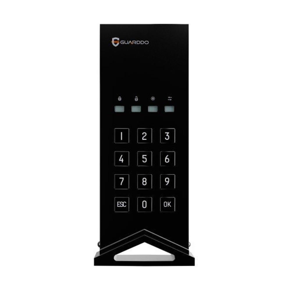 Мини-диск GuardDo SSD