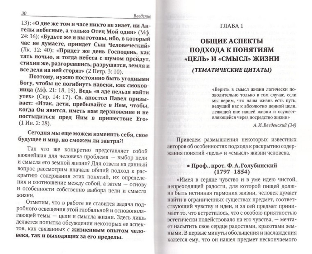 Размышления  о цели и смысле земной жизни человека. Петр Добросельский