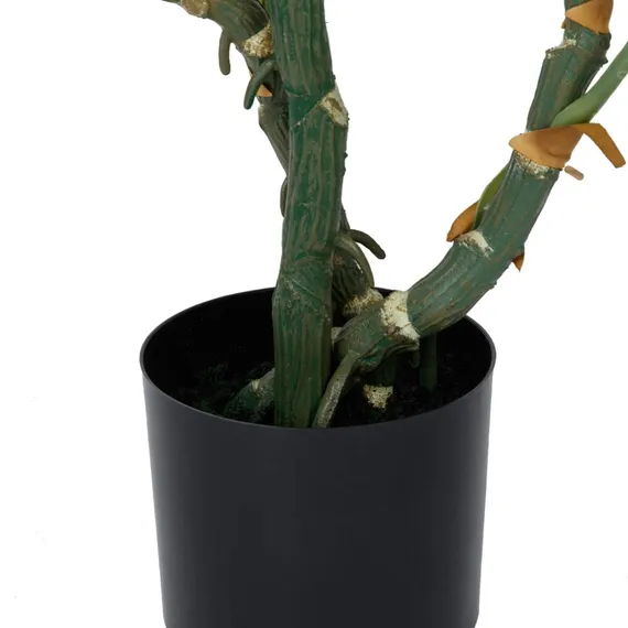 Монстера высота 155 см