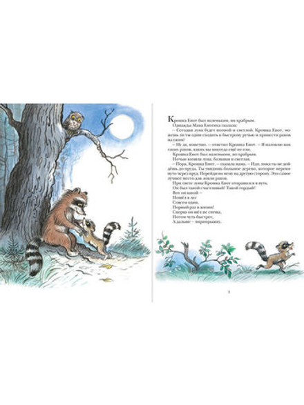 Крошка Енот и Тот, кто сидит в пруду