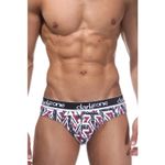 Мужские трусы слипы с разноцветным принтом DARKZONE DZN6308