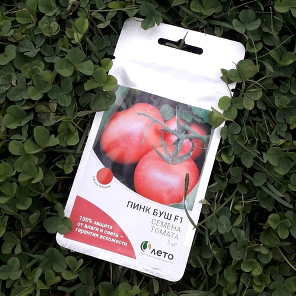 Пинк буш описание. Пинк буш описание. Томат пинк буш f1. Пинк буш описание. Пинк буш описание.