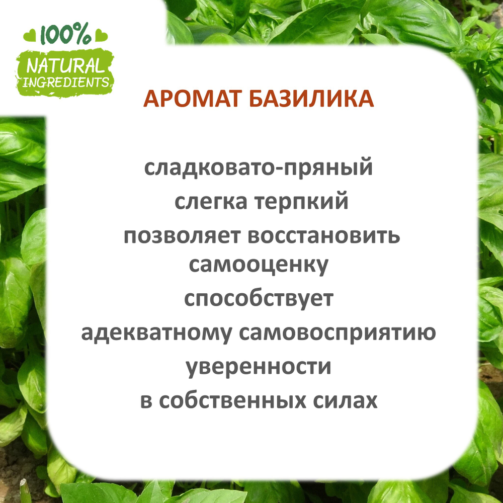 Базилик, отдушка для свечей и мыла