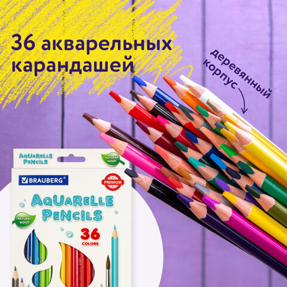 Карандаши цветные акварельные BRAUBERG PREMIUM AQUARELLE, 36 цветов, грифель мягкий 4 мм, 181674