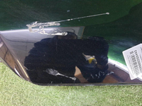 Бампер задний правая часть Toyota RAV4 5 XA50 (2018-н.в.)