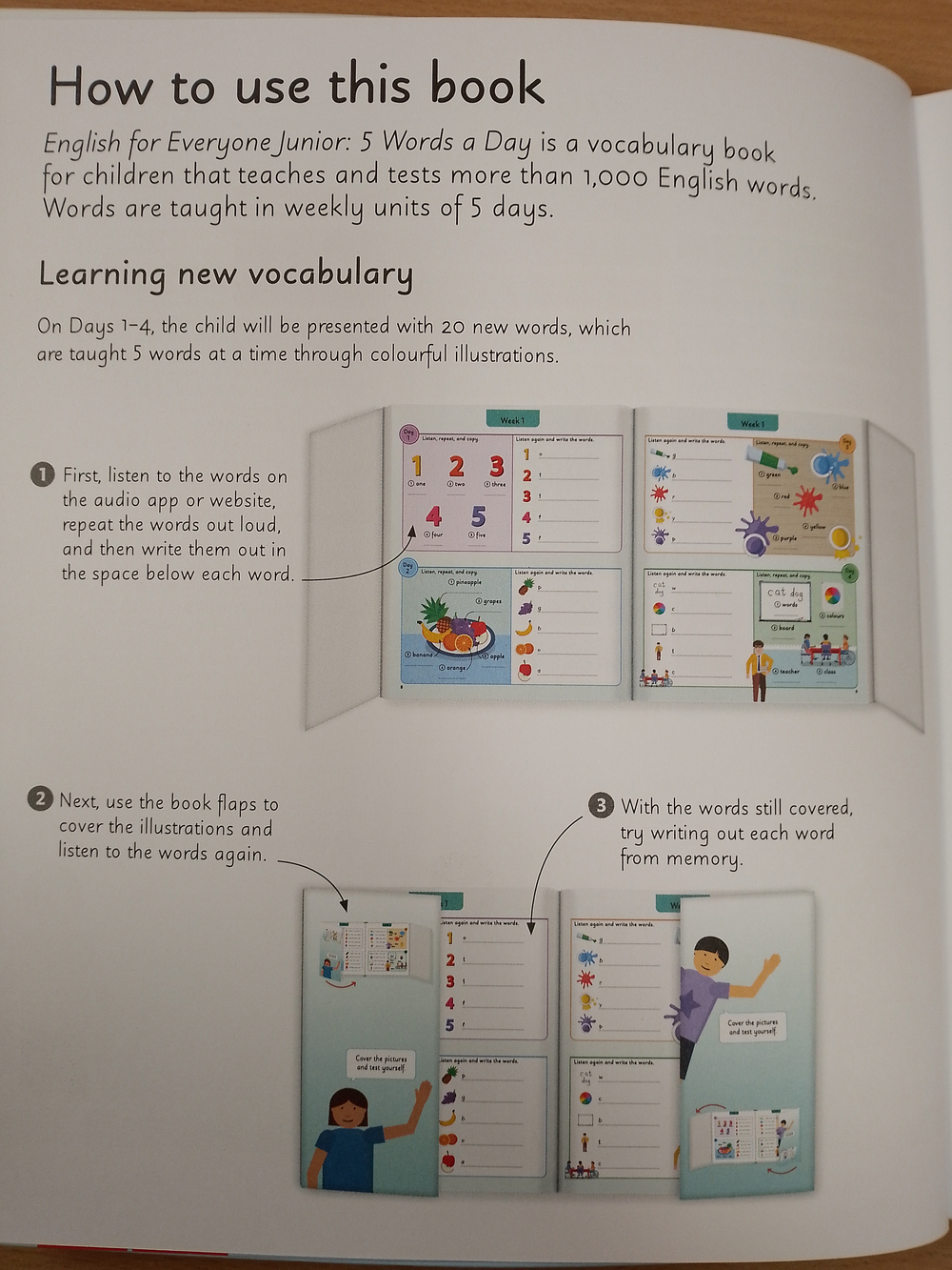 English for Everyone Junior: 5 Words a Day: Learn and Practise 1,000 English Words Flexibound