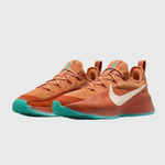 кроссовки Nike LeBron TR 1 Better With Age FJ6151-200