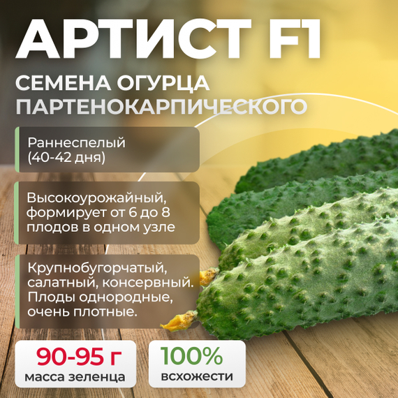АРТИСТ F1 семена огурца партенокарпического (Bejo) – фото 1