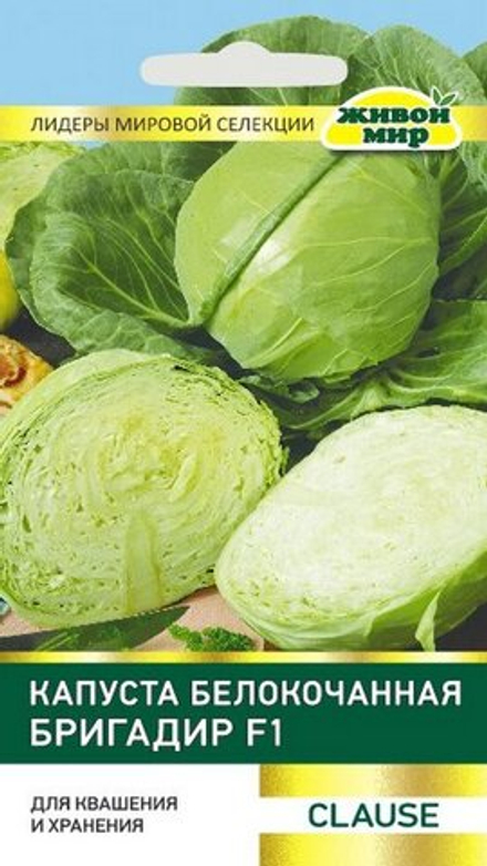 Капуста б/к "ЖМ. Бpигaдиp F1" 10шт, Франция.