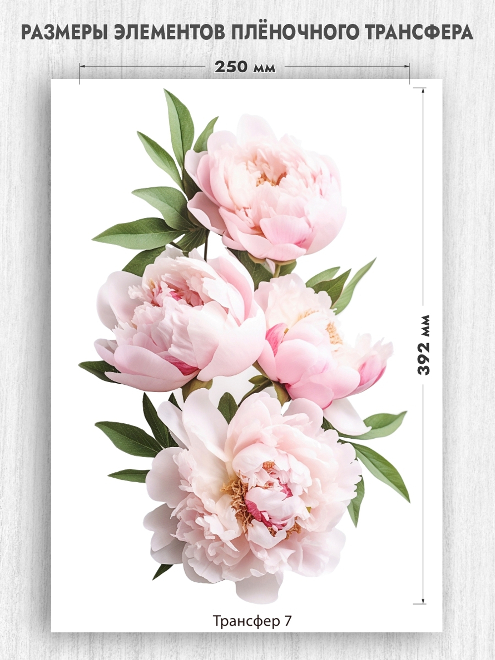 Трансфер для декупажа переводной рисунок для поверхностей пион 007