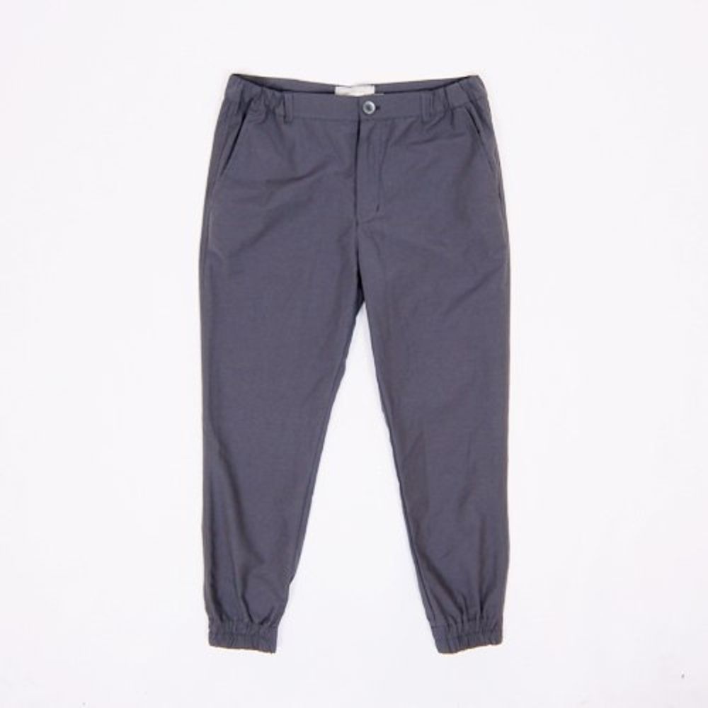 Брюки Anteater Joggers-grey