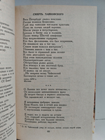 Рюрик Ивнев. Избранное