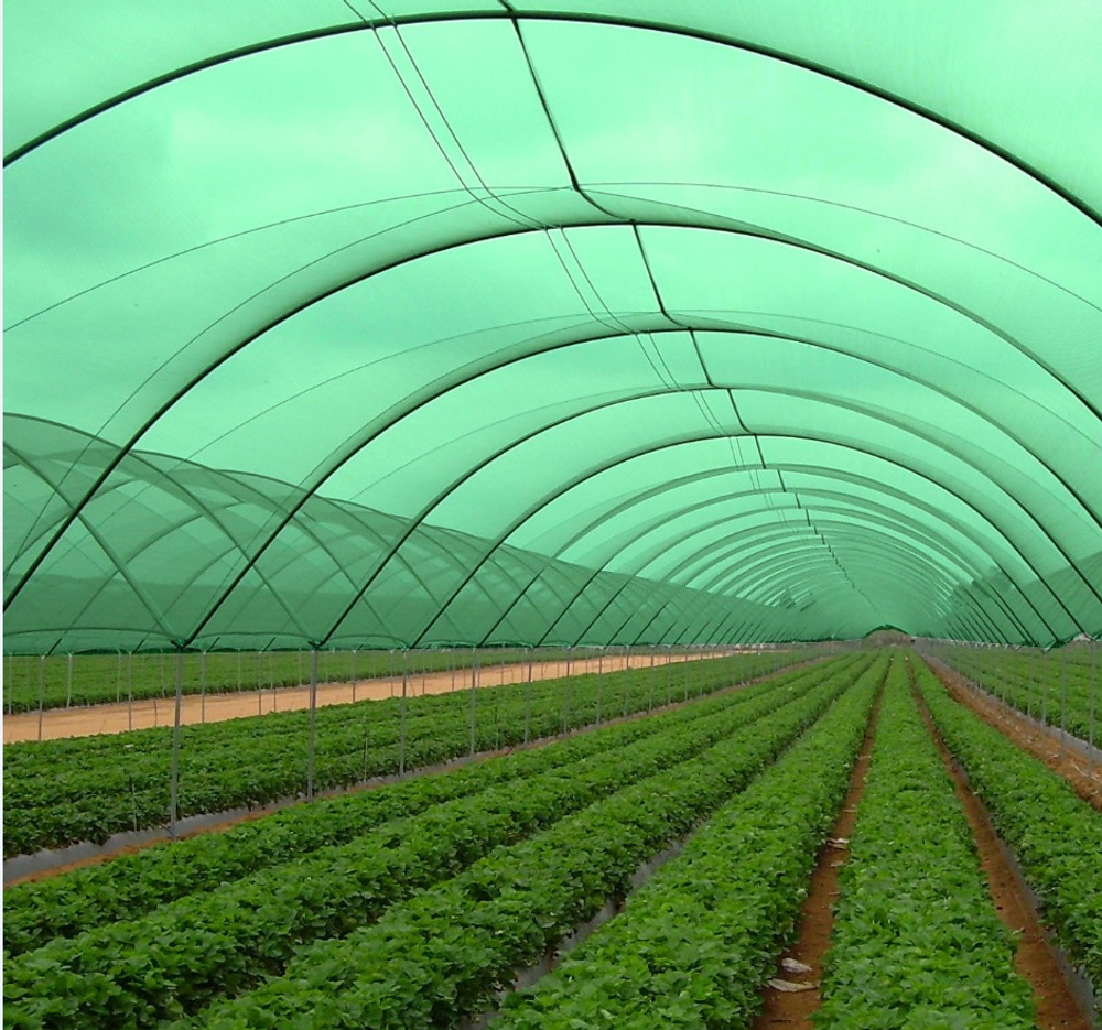 Сетка затеняющая УФ 4х6м  55% затенения