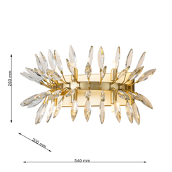 Бра Favourite 4058-6W