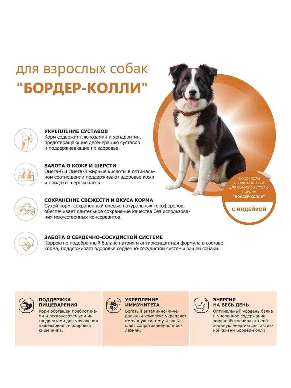 Сухой корм для собак породы Бордер-колли, с индейкой, 2,5 кг