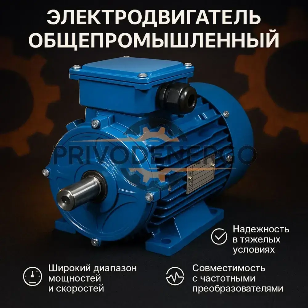 Электродвигатель общепромышленный АИР 100L4 4кВт 1500об/мин 1081 (лапы)