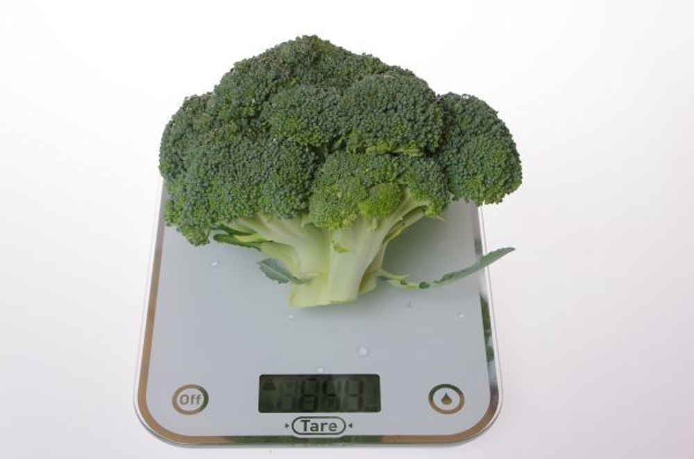 Капуста брокколи Фиеста F1 10шт Мировые Семена VITA GREEN