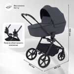 Детская коляска Rant Teo 3 в 1 Graphite