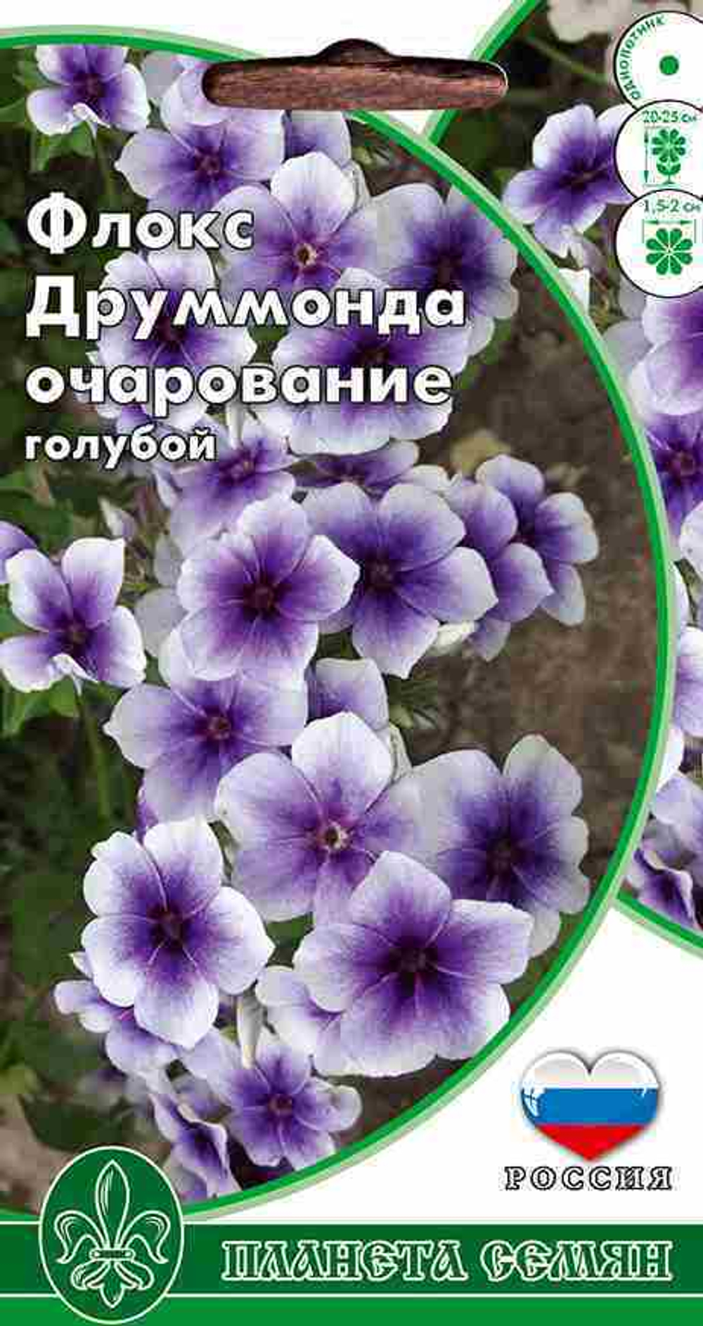 Флокс друммонда Очарование голубой