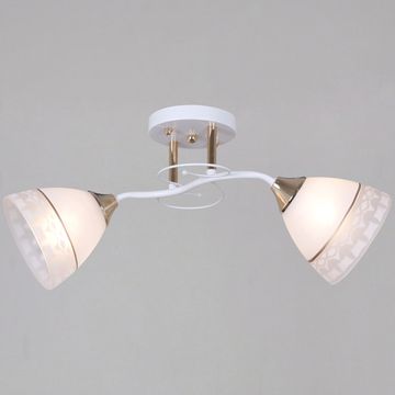 11460-0.3-02 WH+FG светильник потолочный