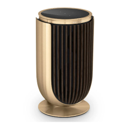 Беспроводная аудиосистема Bang & Olufsen BeoLab 8, Gold, Dark oak