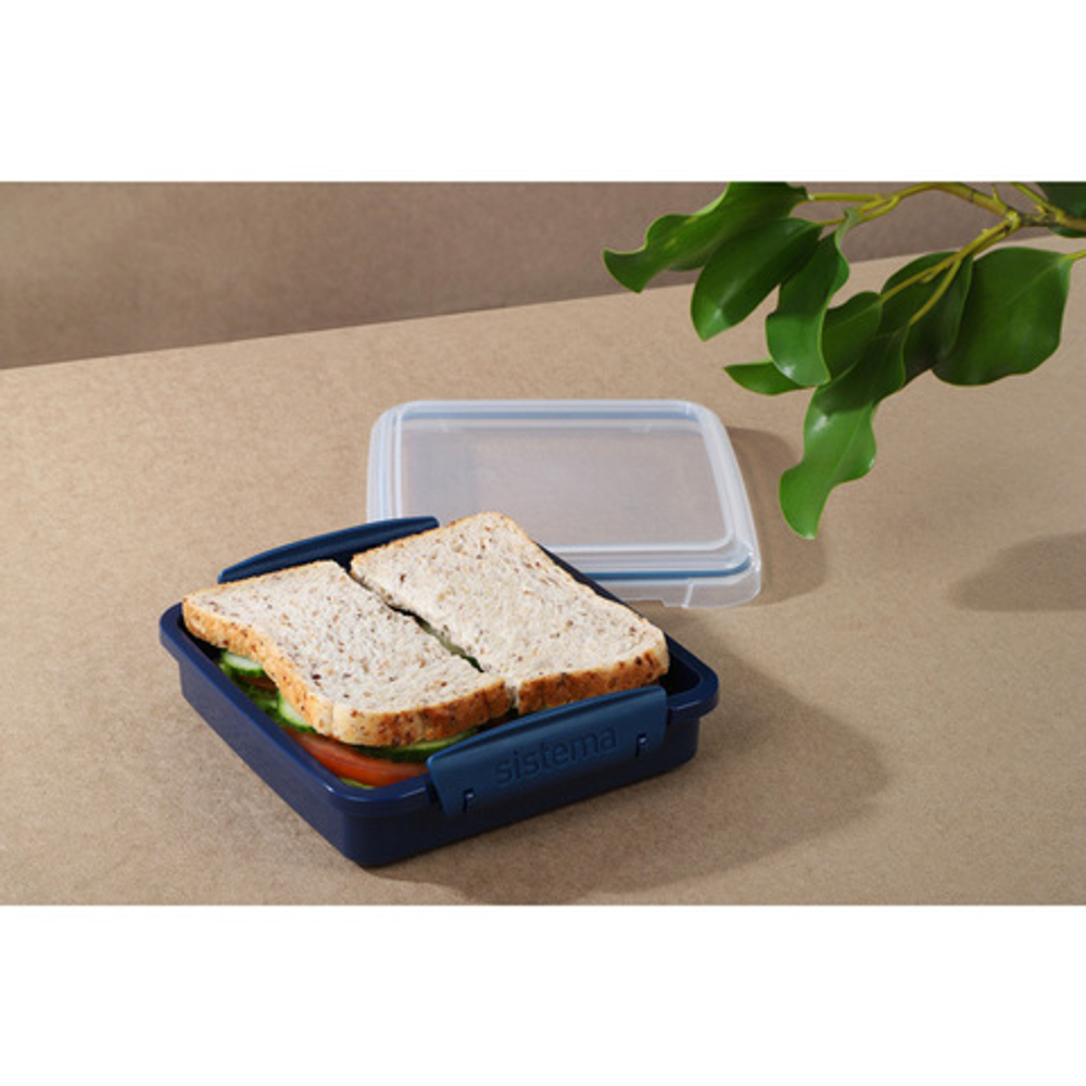 Контейнер для сэндвичей 450мл Sistema Renew синий