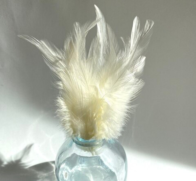 Перья петуха лимонные 7 - 13 см. 20 шт.