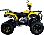 Квадроцикл AVANTIS Patriot M