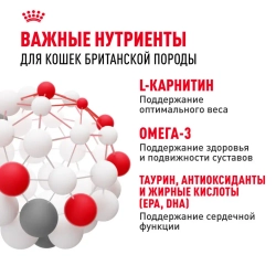 Royal canin british shorthair adult для британских короткошерстных кошек старше 12 месяцев - 2 кг