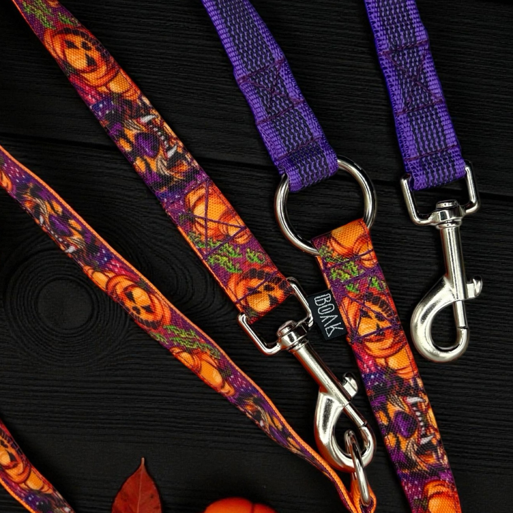 Ошейник Pawmpkin