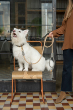 Поводок "Кантри-пони" Графит (льняной канат)